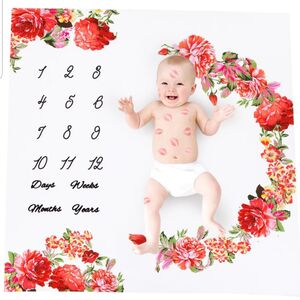 Panou poze aniversare "Primele luni ale bebelusului" diverse modele