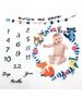 Panou poze aniversare "Primele luni ale bebelusului" diverse modele